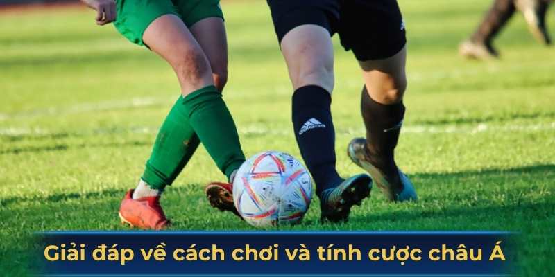 Giải đáp thắc mắc về cách chơi và tính cược châu Á 