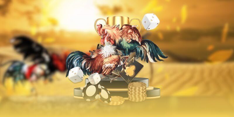 Giới thiệu SV388 giải trí trực tuyến