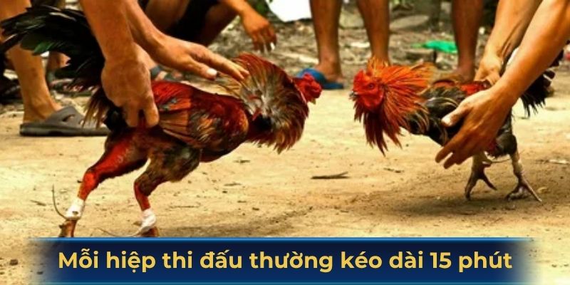 Mỗi hiệp thi đấu thường kéo dài 15 phút