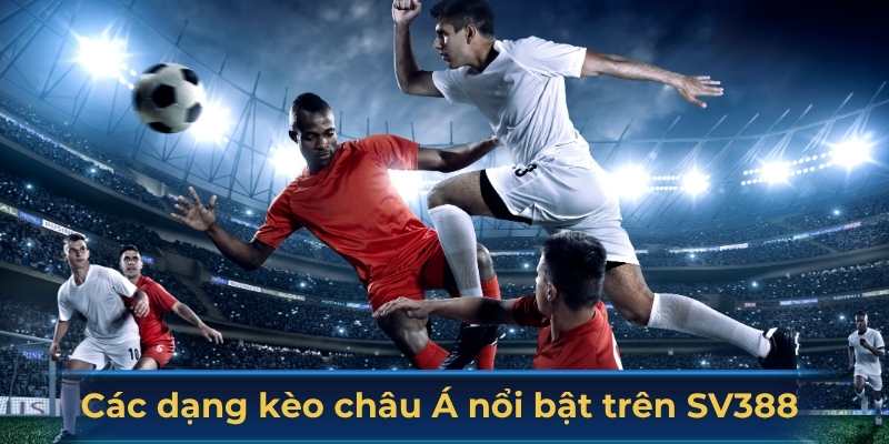Tổng hợp các dạng kèo châu Á nổi bật trên SV388 