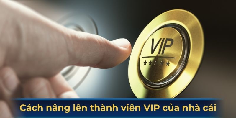 Cách nâng lên thành viên VIP của nhà cái