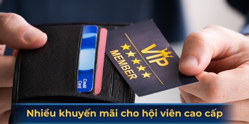 Nhiều khuyến mãi được tung ra cho hội viên cao cấp