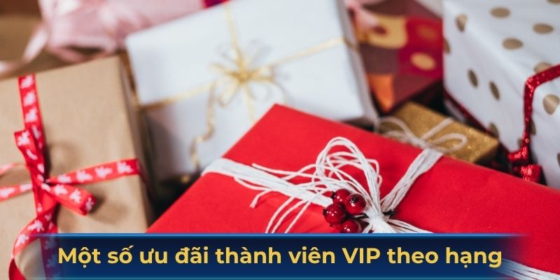 Một số ưu đãi thành viên VIP theo hạng