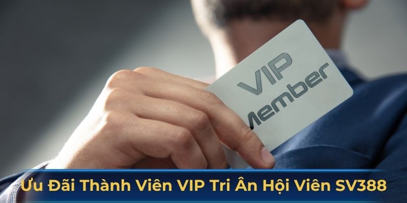 Ưu đãi thành viên VIP